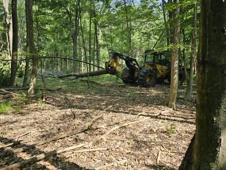 Tree logging equipment operating in a forested area, showcasing sustainable logging practices and environmental stewardship by Woods Forestry Service.